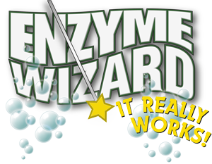 10364D Enzyme WizardLogo